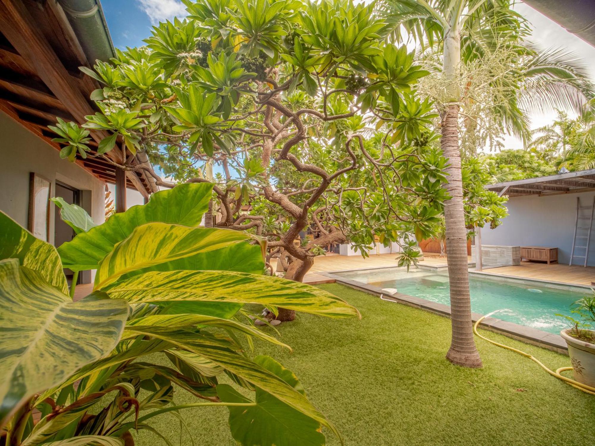 La Kaz Veloutier - Villa 4 Chambres Avec Piscine La Saline Le Bains Eksteriør bilde